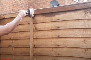 Glendale worker fence painting the backyard wooden fence